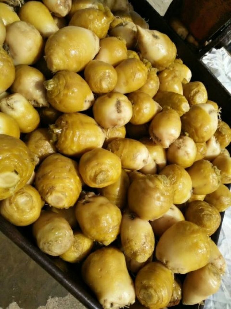 半斤以上高盐陈货芥菜