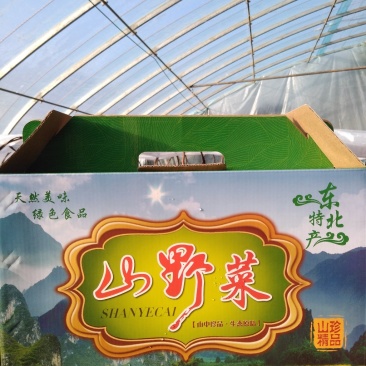 山野菜礼盒年终巨惠