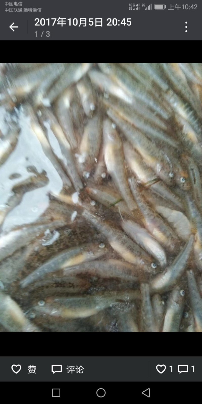 小黄鱼500克净鱼加100克水左右