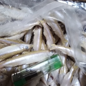 单冻公鱼不挂冰衣