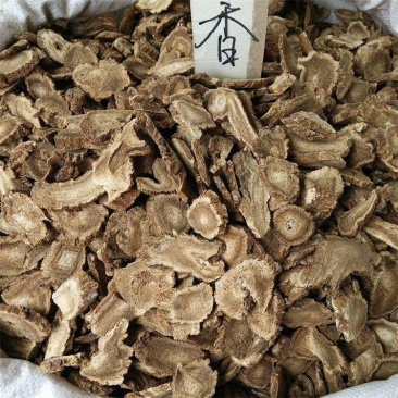 木香片木香产地直销！有圆片，有斜片。量大可优惠。