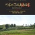 【精品】纯手工红薯粉条，农家自制***。