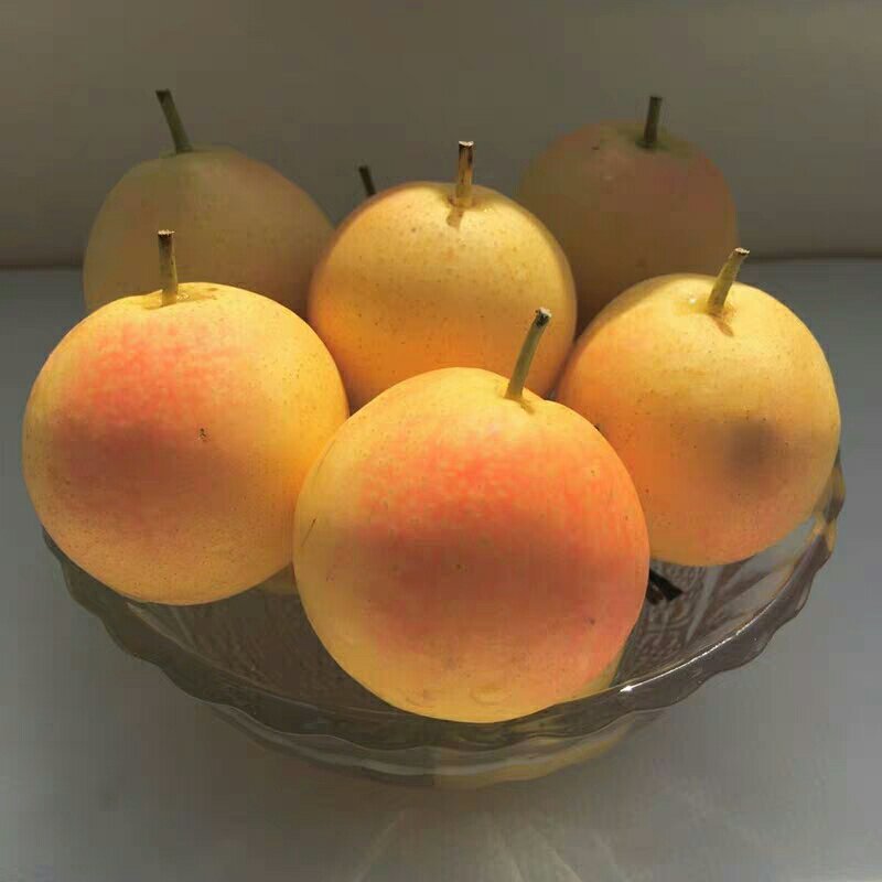 新鲜南果梨5斤装