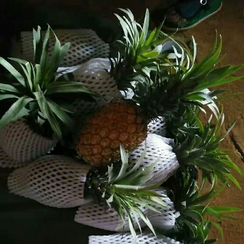 云南香水小菠萝10斤装