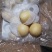 皇冠梨纸袋42#