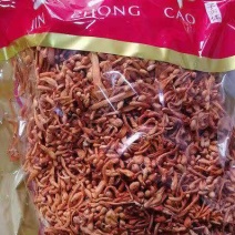 虫草花