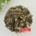 天名精倒提壶挖耳草玉门精金挖耳中药材