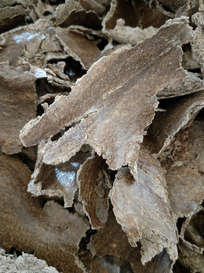 花生饼花生麸无壳优质花生2吨左右专注品质