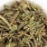 天香炉紫金钟大香炉天吊香蜂窝草小金钟中药材