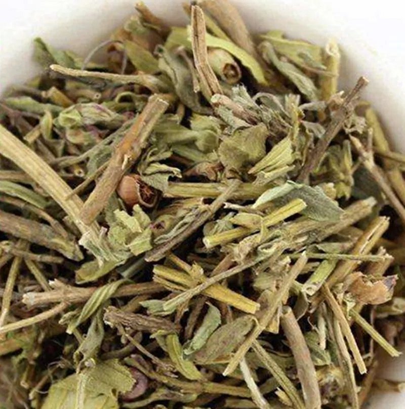 天香炉紫金钟大香炉天吊香蜂窝草小金钟中药材