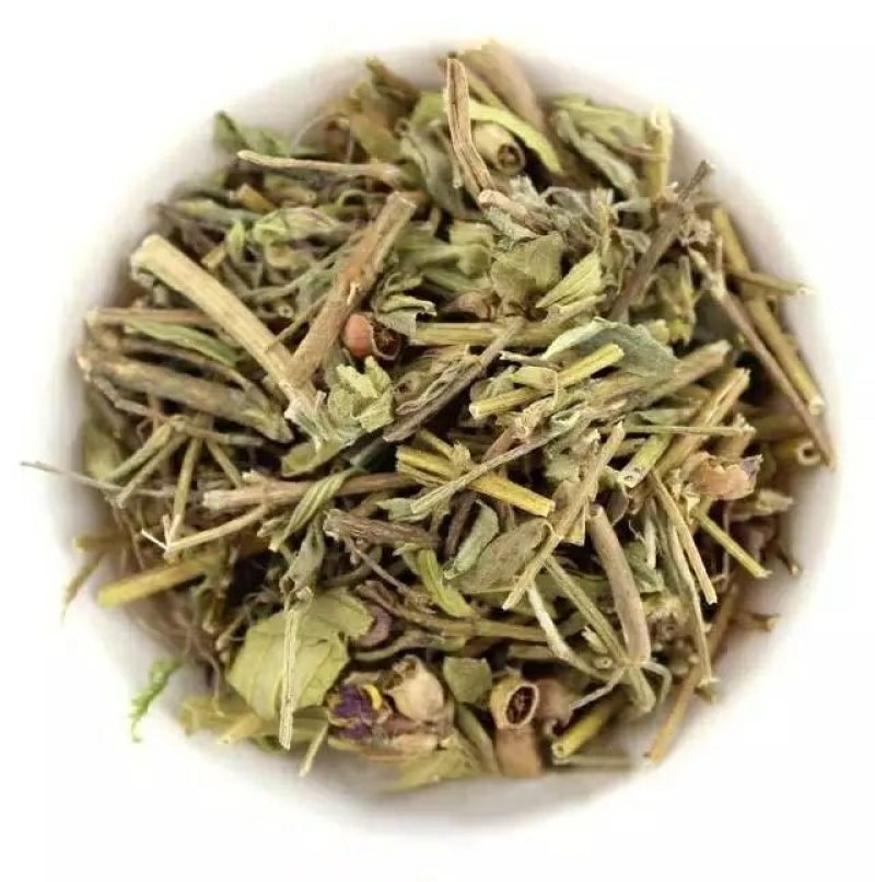 天香炉紫金钟大香炉天吊香蜂窝草小金钟中药材