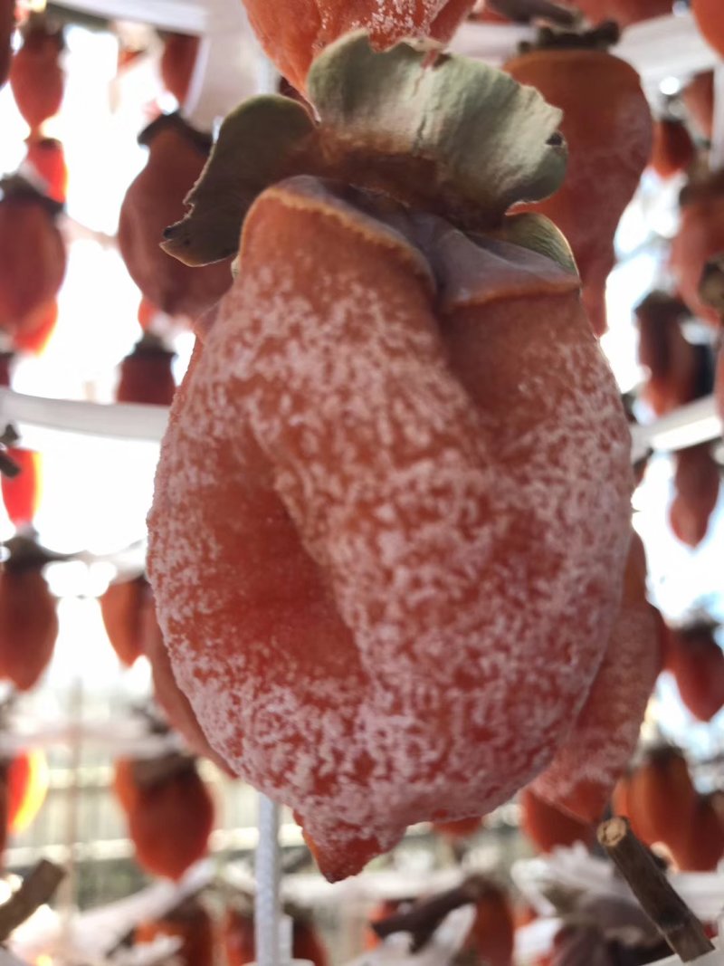 陕西省富平县流心柿饼