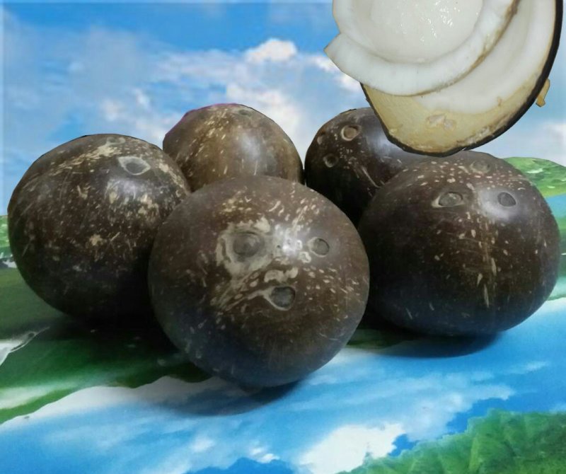 海南水果热带新鲜特产应季去皮大椰子皇老批发不带运费