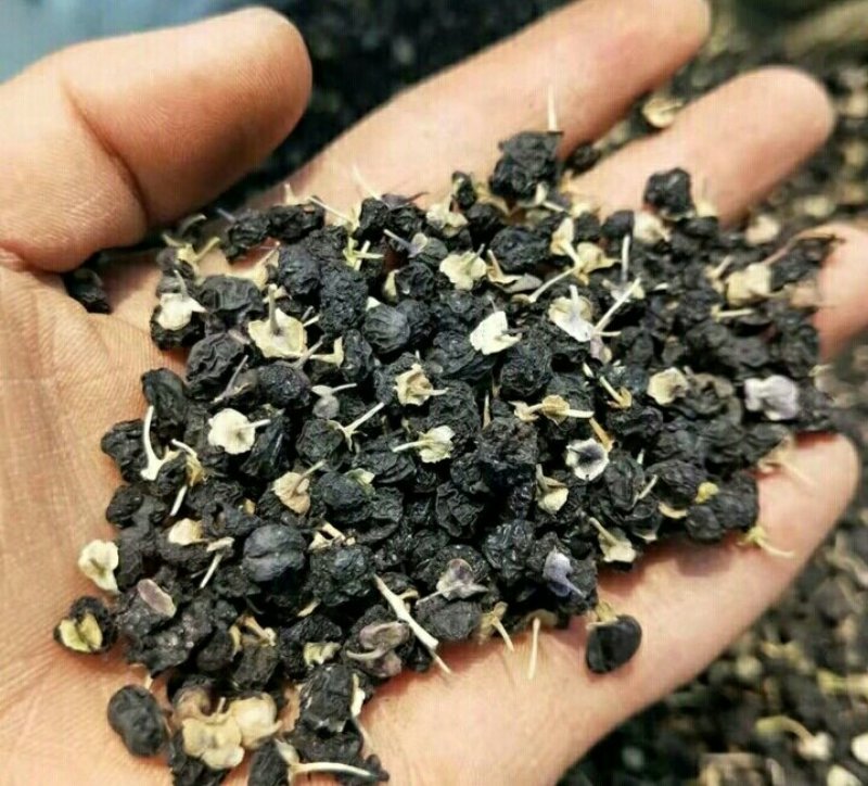黑枸杞瓶装100克一瓶