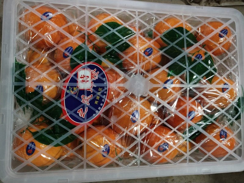 血橙产地直销大量供应个大皮薄口感甜蜜水分充足
