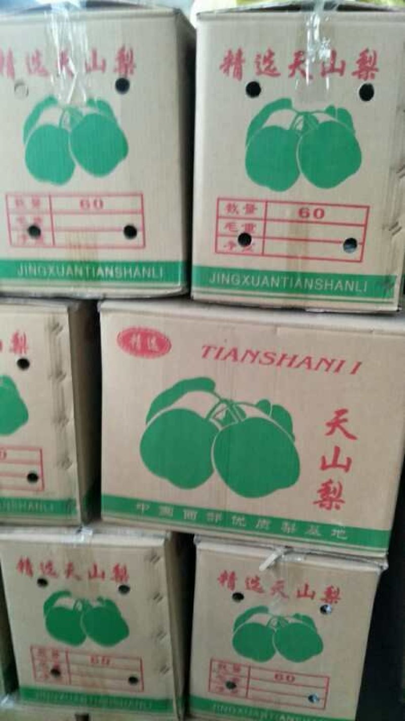 陕西贡梨批发陕西贡梨基地价格酥梨基地价格
