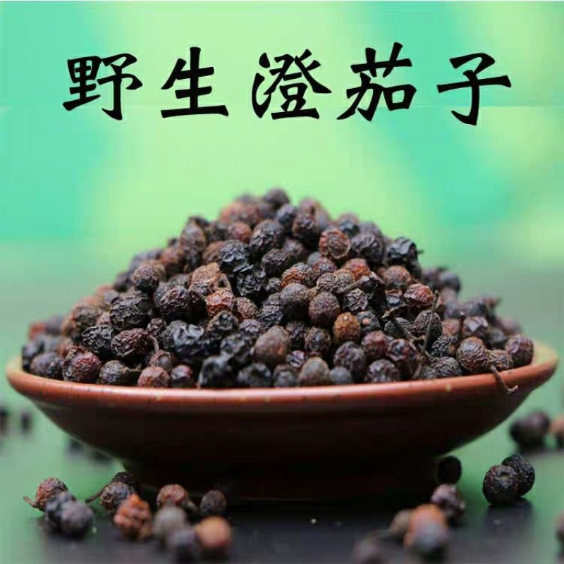 澄茄子木姜子荜澄茄山苍子中药材