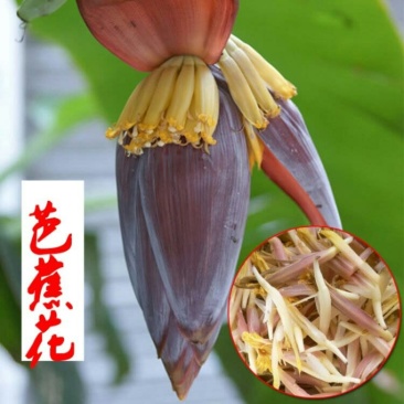 芭蕉花