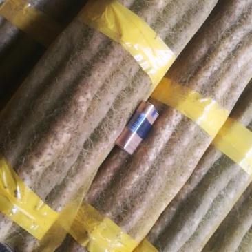 棒药毛山药