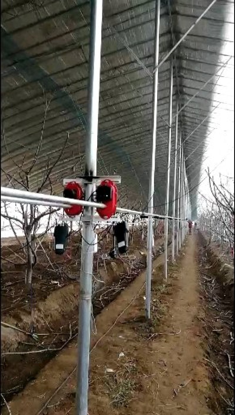 放风机
