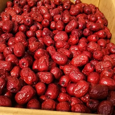 新疆阿克苏精选红枣特价