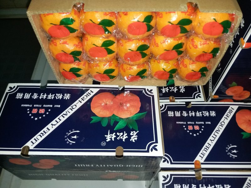 正宗长阳清江椪柑产业基地