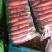 南阳精品中条萝卜2---6两大量上市需要了联系