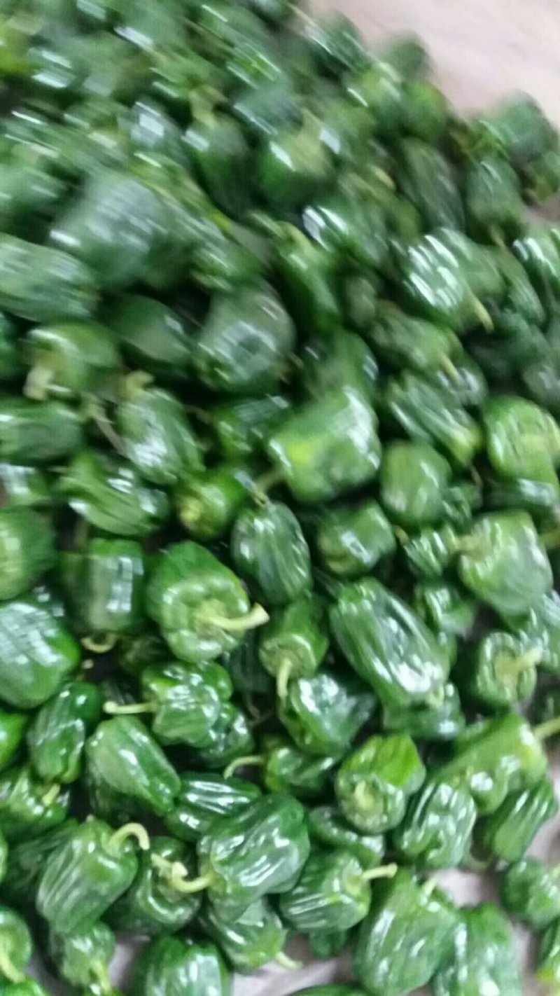 各种辣椒