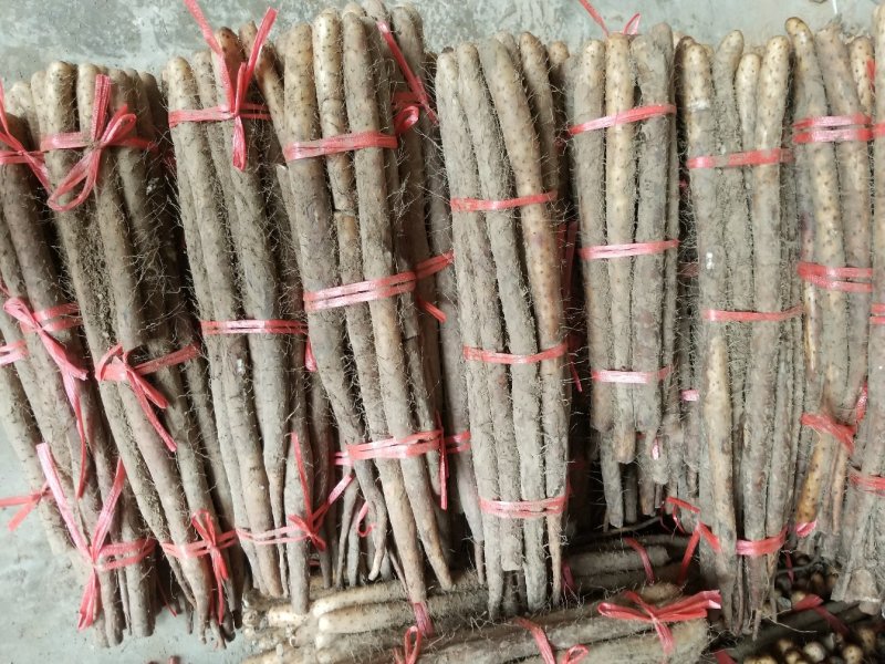 白玉山药