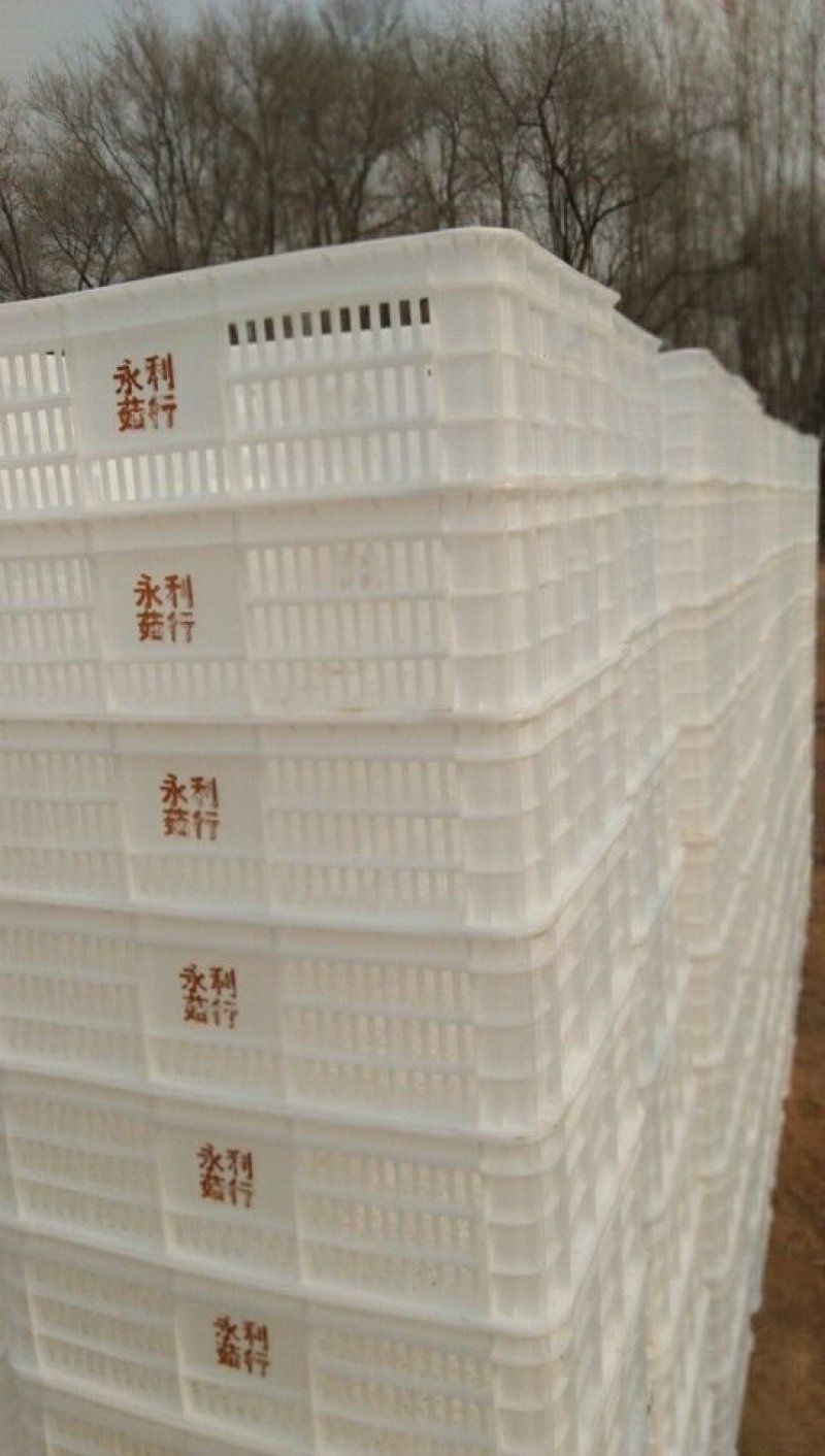 塑料框葡萄桃平菇用框