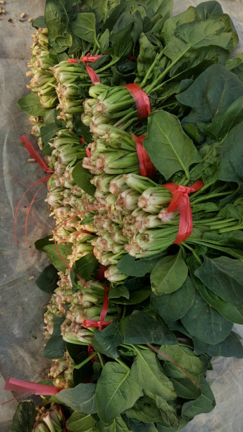 黑木耳菠菜