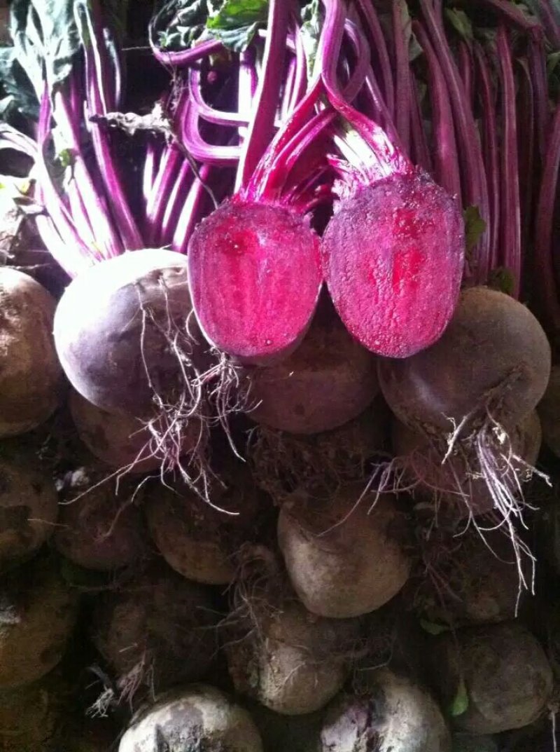 新鲜甜菜根现挖5斤装