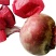 新鲜甜菜根现挖5斤装