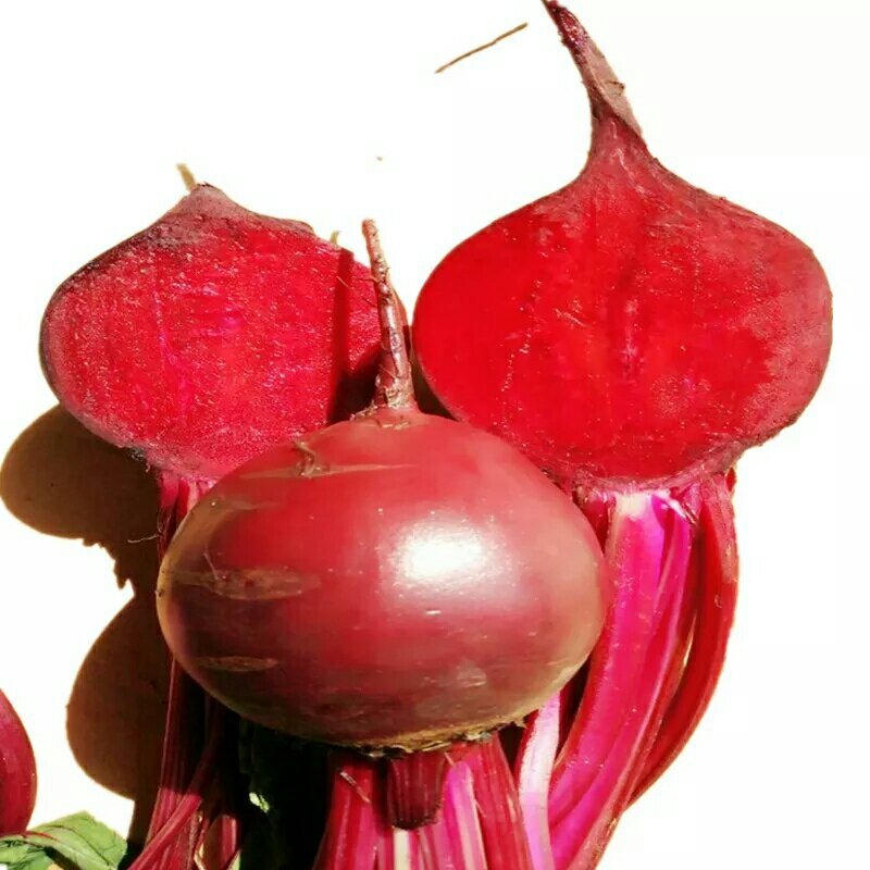 新鲜甜菜根现挖5斤装