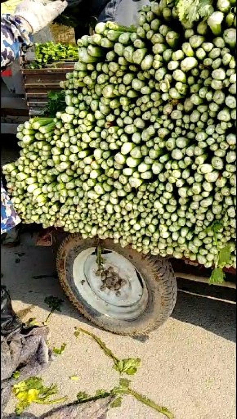 西芹
