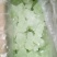 金银花冰糖