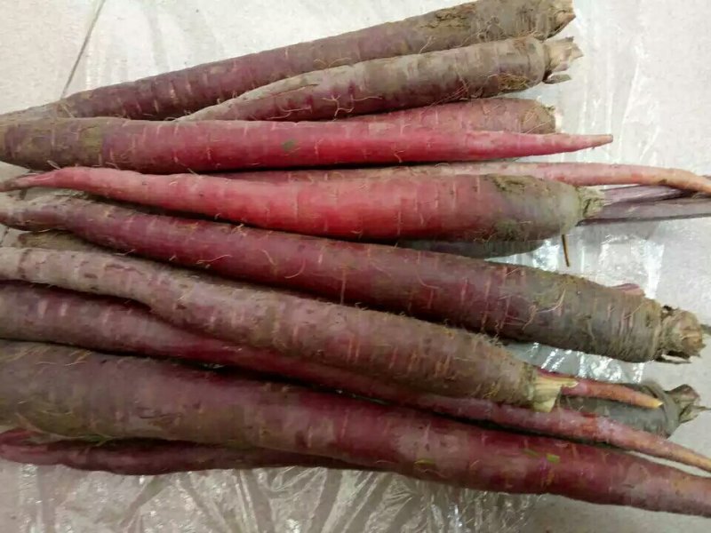 紫胡萝卜5斤装