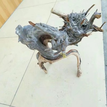 精品崖柏