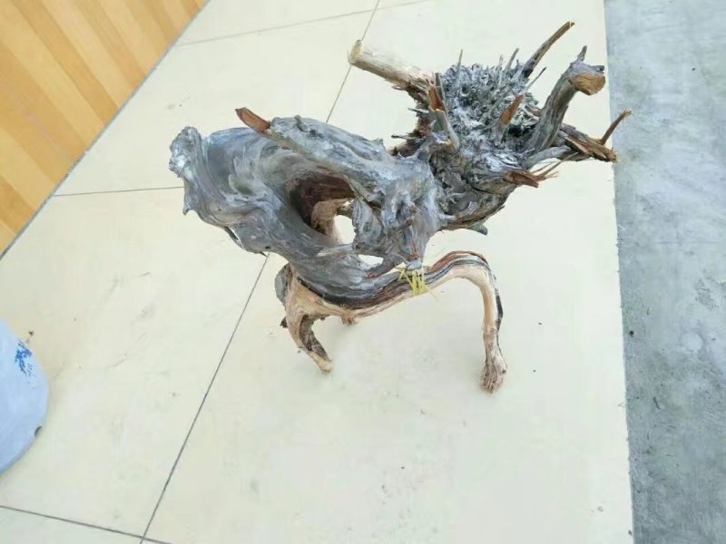 崖柏