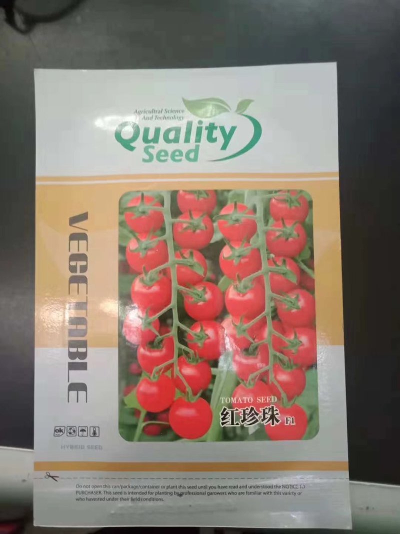圣女果阳光玫瑰千禧小番茄紫色黑色小番茄种子