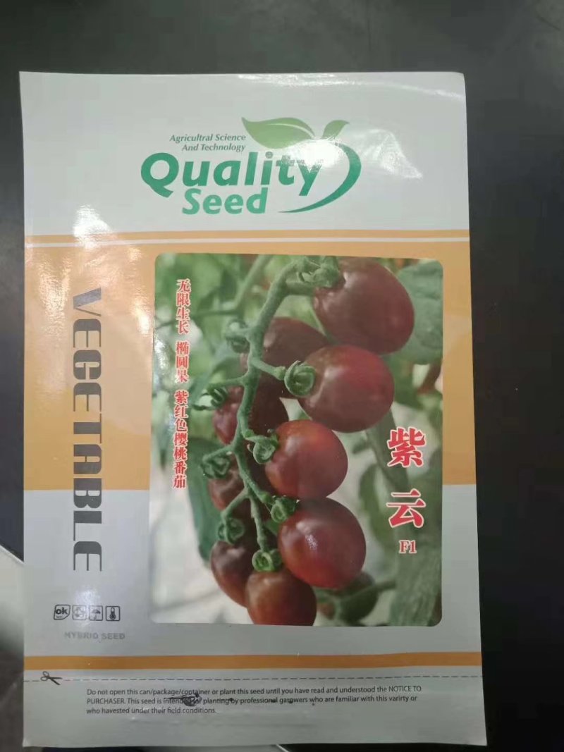 圣女果阳光玫瑰千禧小番茄紫色黑色小番茄种子