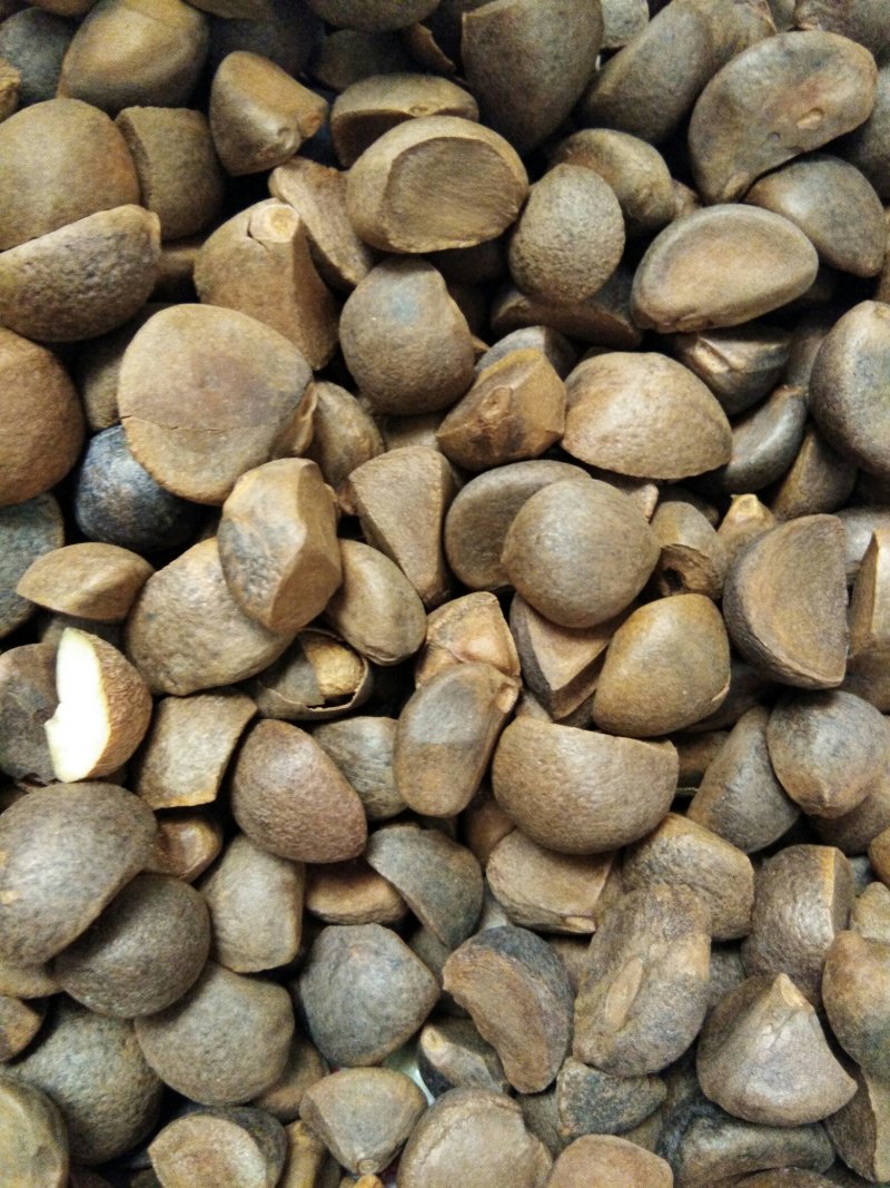 山茶油