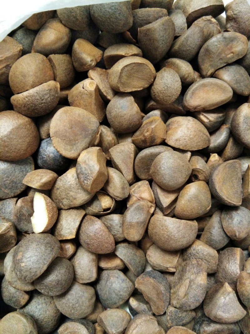 山茶油