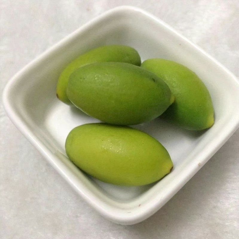 青橄榄树苗3年靓苗1.3高包邮包活