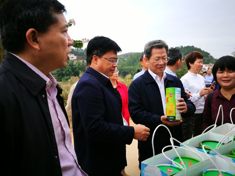桑叶菊花茶