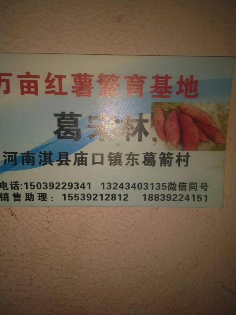 纯红薯粉条