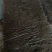 西施山药4万斤白产