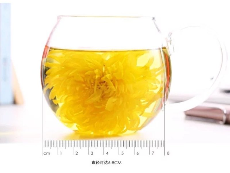 特选菊花茶金丝皇菊大菊花茶俩盒装送礼袋