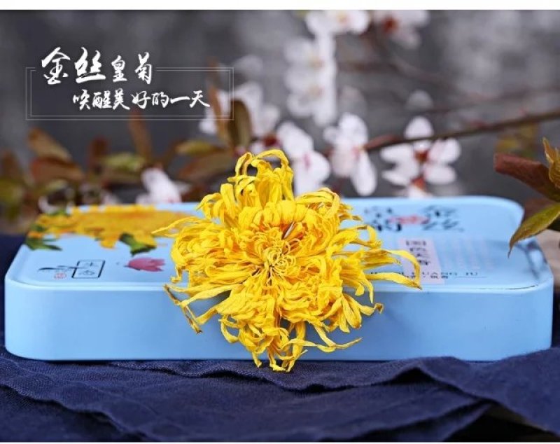 特选菊花茶金丝皇菊大菊花茶俩盒装送礼袋