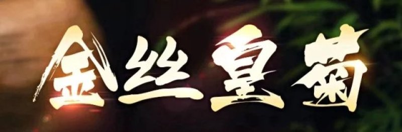 菊花茶金丝皇菊大菊花搭枸杞茶叶小罐30克包邮